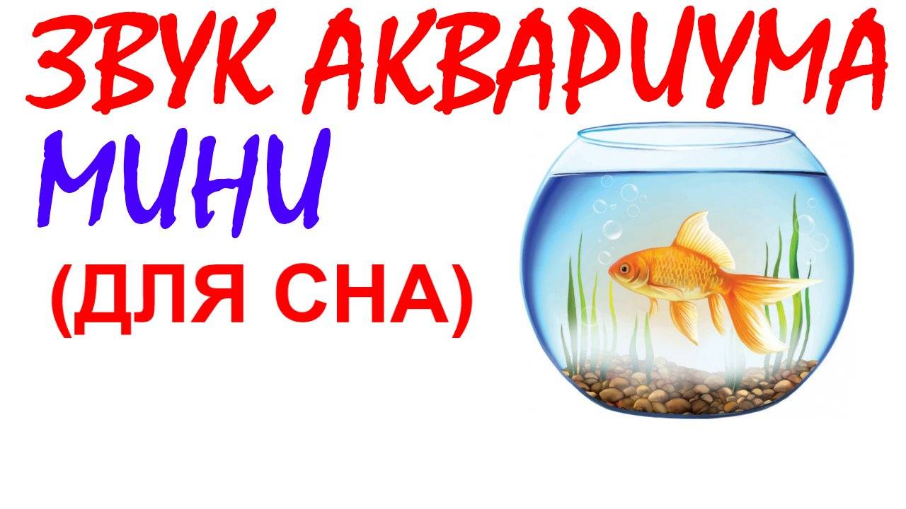 №54 Звук мини аквариума. Звуки для сна. Шум для сна. Белый шум. Черный экран. АСМР