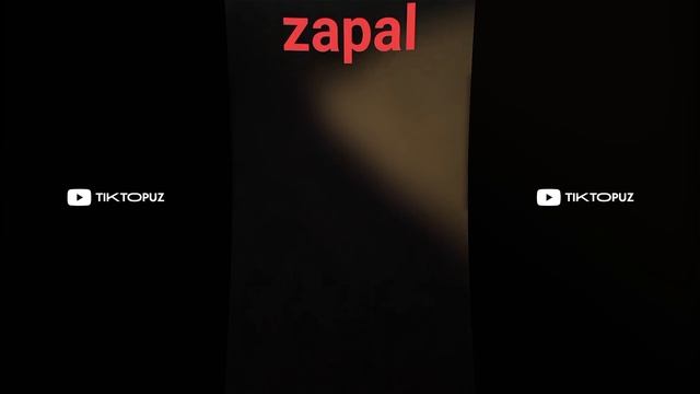 Zapal videolar