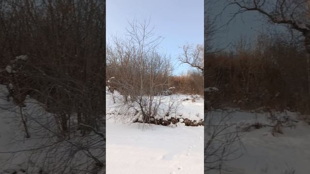 малыш