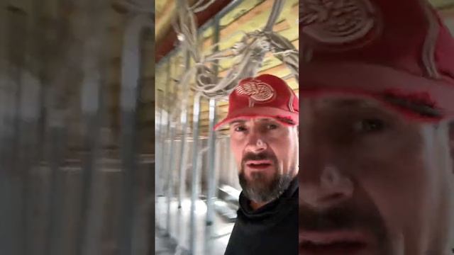 Элементарный Кнауф￼