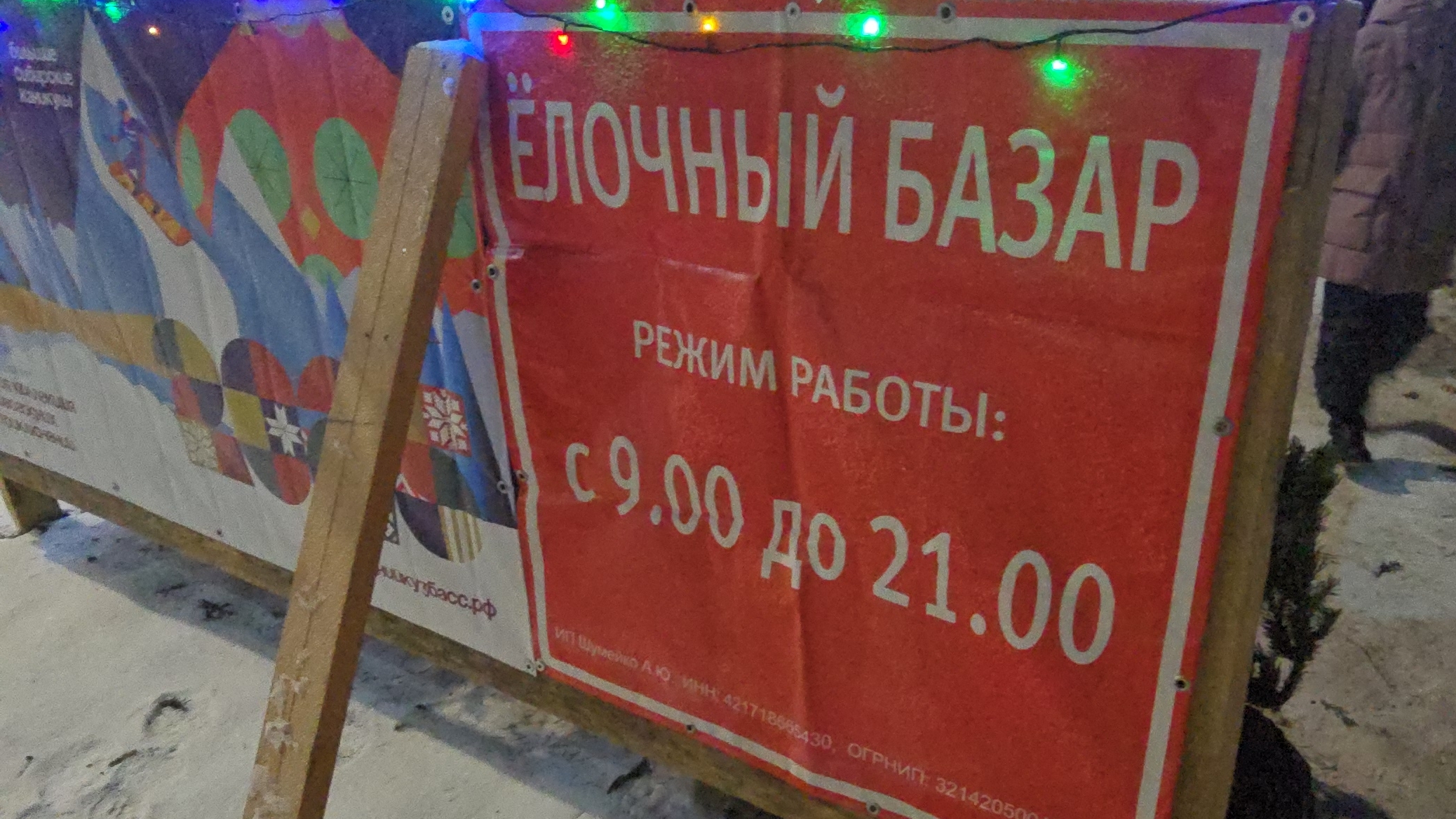 продажа живых ёлок, цены от 1200-10000₽