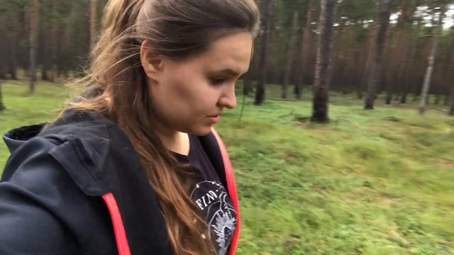 Латвия Поездка в лес за грибами в Риге Семейные выходные Природа Латвии Семейный влог Latvia vlog 1