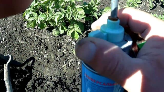 ЖИВЕМ В ДЕРЕВНЕ!!ШТУКАТУРКА ПОДОЖДЁТ!!ОКУЧИВАЕМ КАРТОШКУ!!!ГНЁЗДА МЕДВЕДКИ!!!Деревенский влог