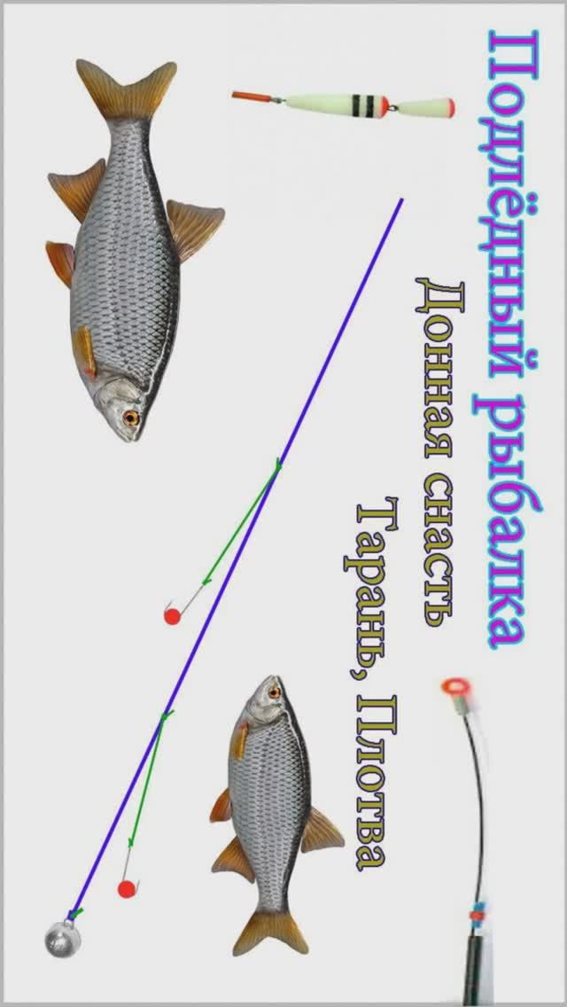 Подлёдная рыбалка, донная снасть которой ловим ТАРАНЬ в лиманах Fishing angeln #shorts