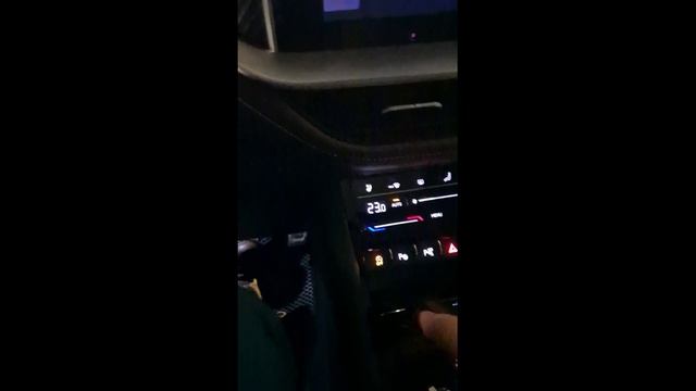 Skoda Kodiaq (China) start stop system off