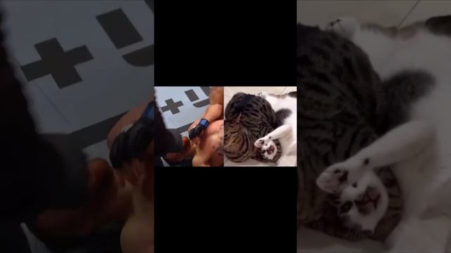 Видео by Кулаки #8453