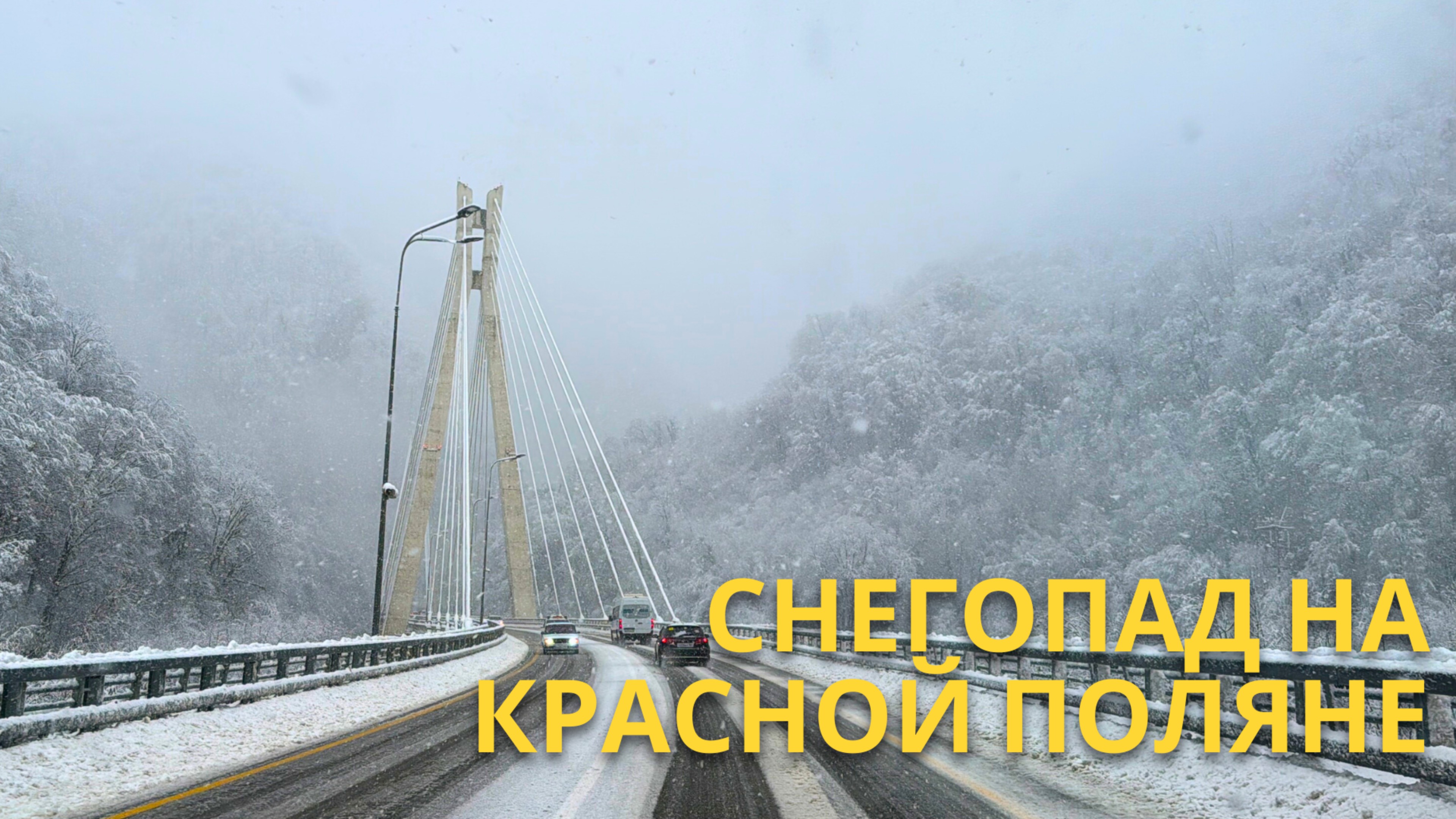 Граница климатических зон по дороге на Красную поляну, Розу Хутор замело🌨️