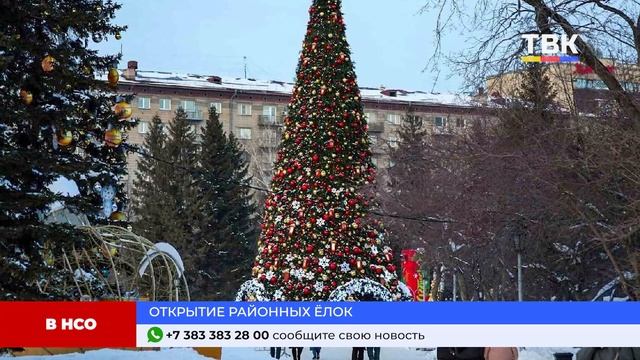 Программа "Дайджест" 18-12-24