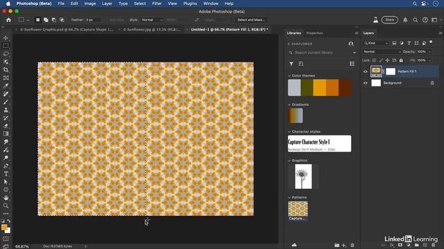 24-02 - Capture patterns, colors, gradients, type attributes, and shapes from an image