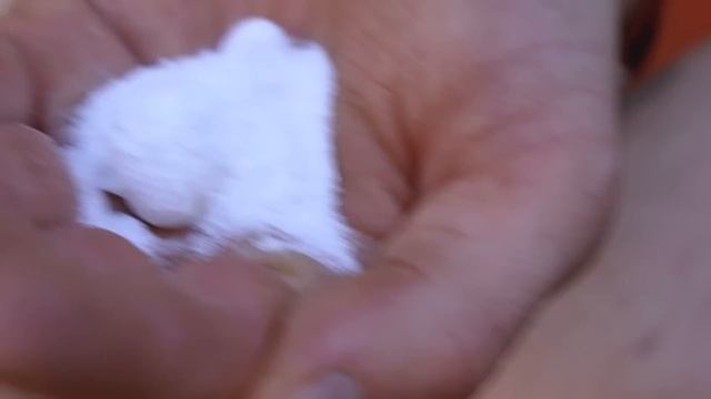 ПРОВЕРИЛ 14 ЛАЙФХАКОВ ДЛЯ ВЫЖИВАНИЯ В ЛЕСУ