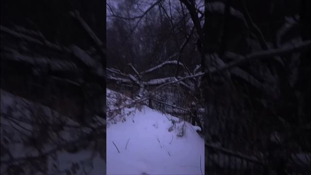 Вечерело. Поднялась метель, я шла вдоль старого и заброшенного кладбища, это было очень страшно.