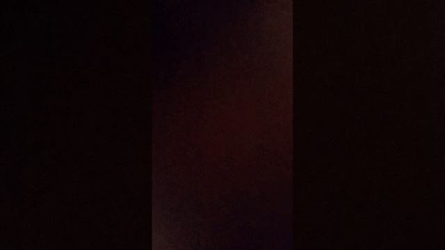 лежу в больнице. день 2