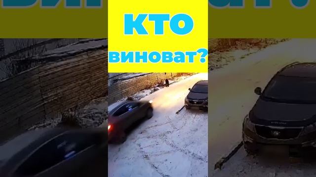 💥Водитель переехал декоративную собачку на самовыгуле!  Это жестокость или судьба?  #дтп #собаки