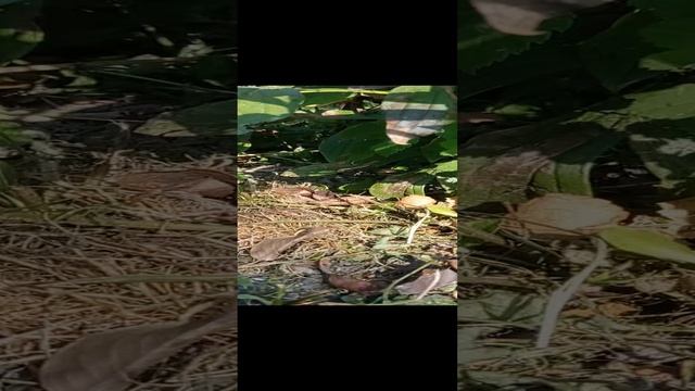 Отдыхаю не мешай ####