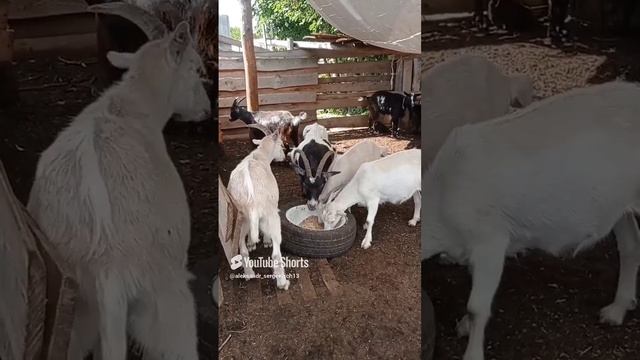 Сынок-то мамку уже совсем перерос
