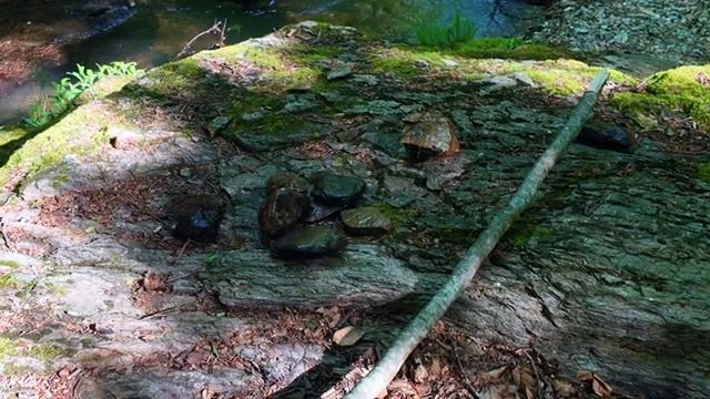 3 Дня  одиночного похода, строительство теплого укрытия
