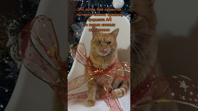 Узнали себя? 😂