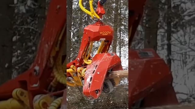 👀Комплект ЗИП для головок WOODY