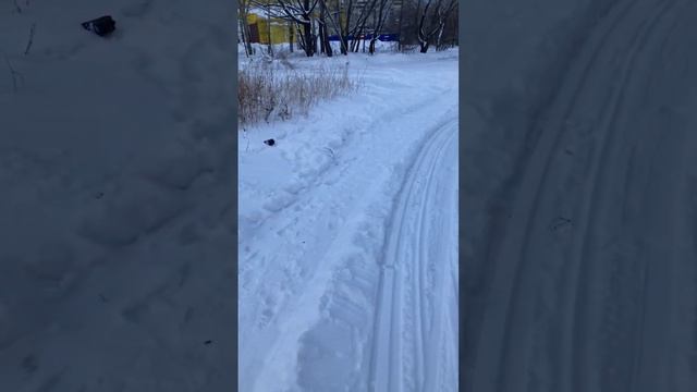 Все на лыжню