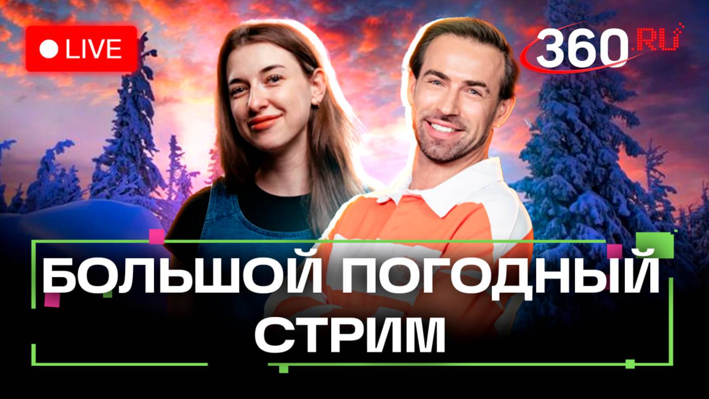 Погода 18 декабря и прогноз на завтра. Вырубка елок. Метеокачели. Дмитров. Москва. Метеострим 360