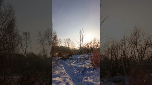 возвращаемся
