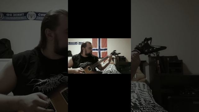 Evil Dead Death cover #metalguitarcover #metal #deathmetalclassics #guitarcover #guitar