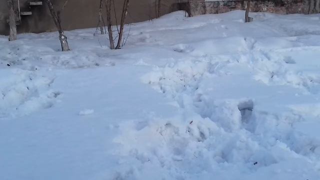 Ксюша прыгает с беседки и делает сальто в палёте! (2 часть )😕😕😕😨😨😨