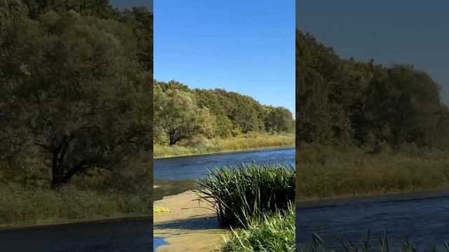 Лодка картоп