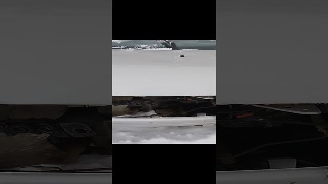 1000123640.mp4