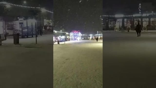 Новая Усмань.