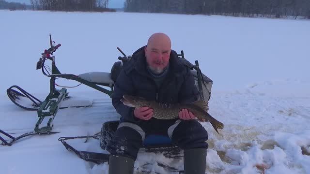 Зимняя рыбалка на щуку ,зарядил ряпушкой. Селигер меня поздравил ,а я поздравляю Вас.