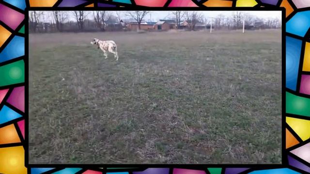«Читать-успешным быть»