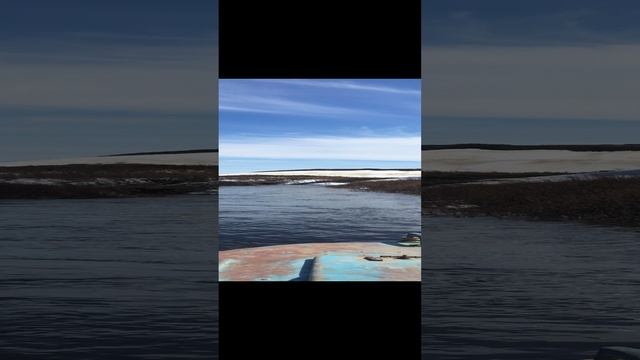 весна, река, водомёт.mp4