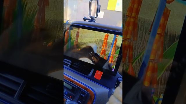 Смотрим Кунг-фу панда)))