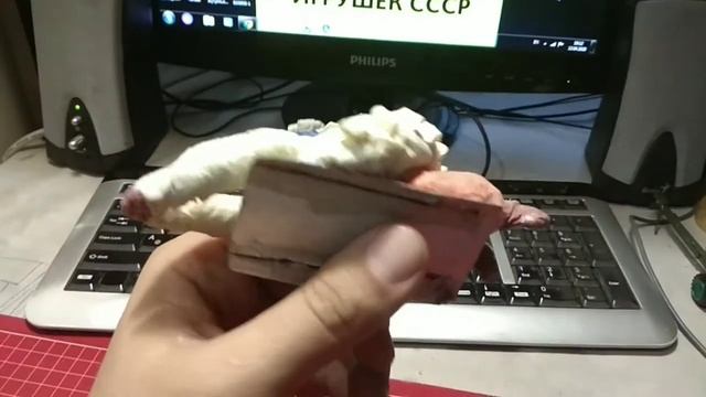 Игрушка