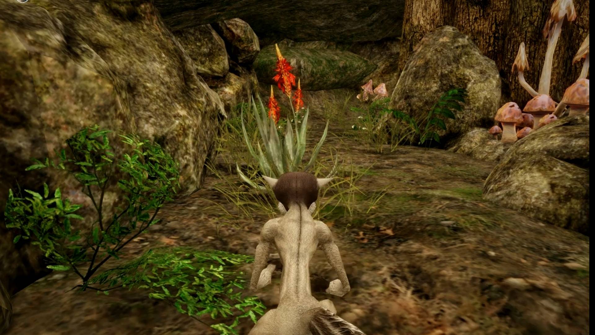 Risen 3: Titan Lords. ОСТРОШИП (ТАКАРИГУА). Прохождение от SAFa