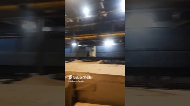 1000035311.mp4Сталкер-3.18.12.2024г.