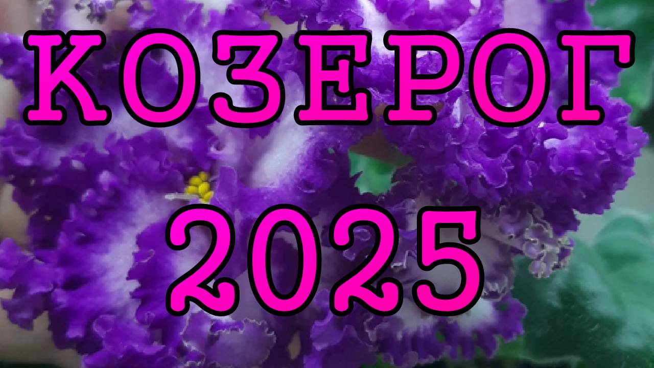 КОЗЕРОГ таро прогноз на 2025 год по 12 домам гороскопа.