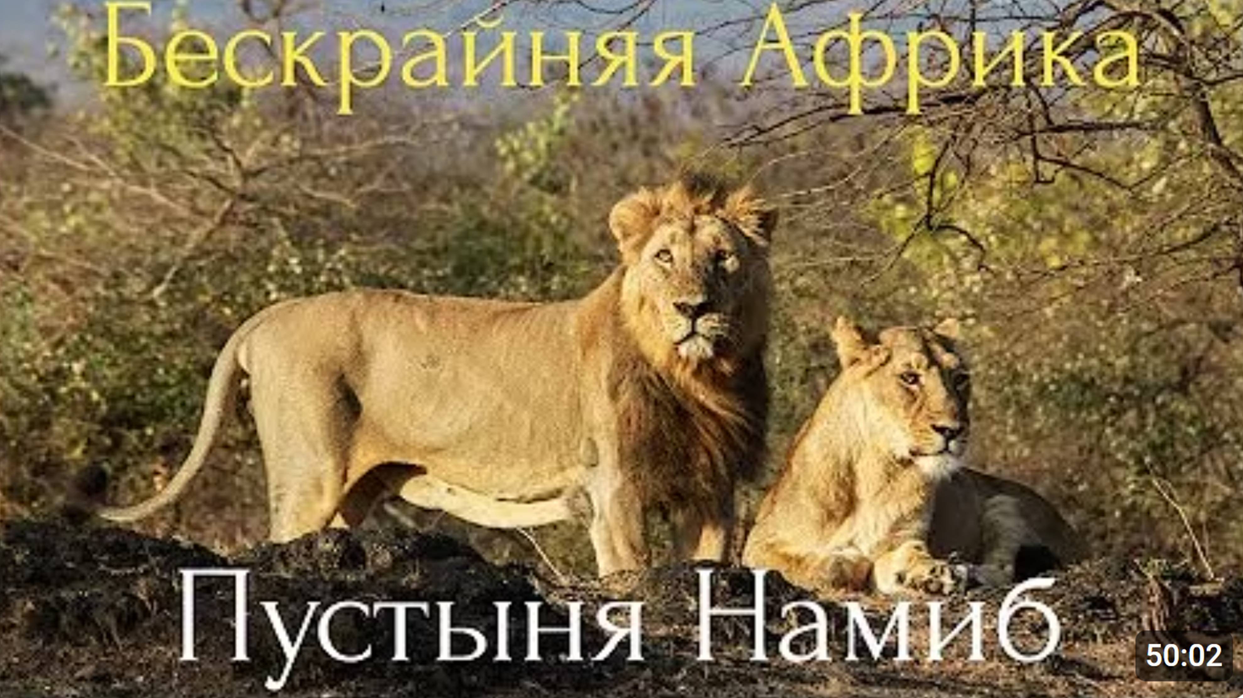 Бескрайняя Африка.Пустыня Намиб.
