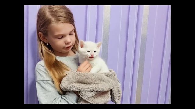 Любимая игрушка "ожила"