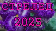 СТРЕЛЕЦ таро прогноз на 2025 год по 12 домам гороскопа.