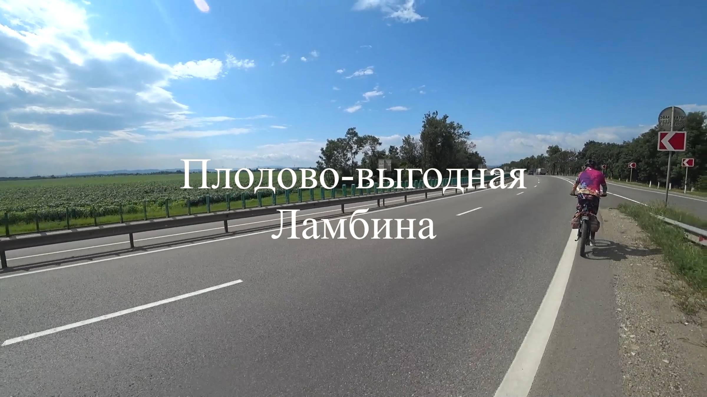 2019.08.04 Плодово-выгодная Ламбина.