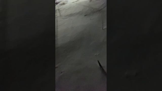 Ледокол