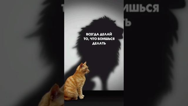 Смысл цитаты