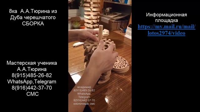 8ка А.А.Тюрина из Дуба черешчатого. Сборка.