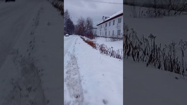 scene_output.mp4