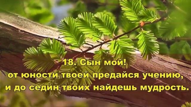 6.  Сирах