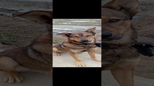 1000239688.mp4