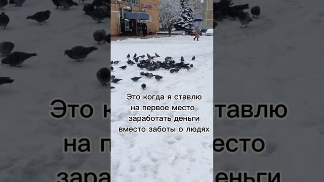 1000002948.mp4