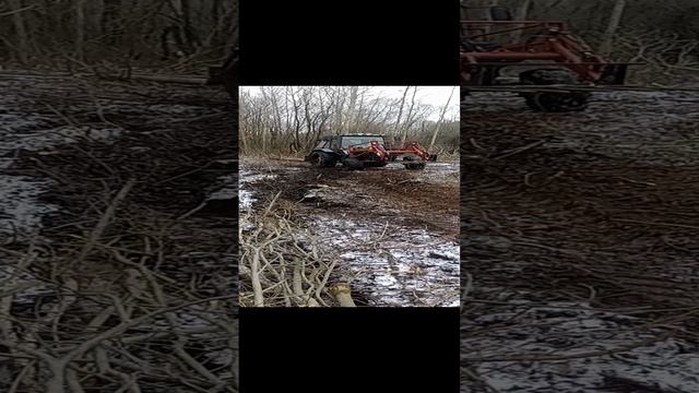 открытие сезона дров! на мтз